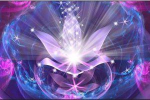 2017-12-27 17.37.42 2017-12-27 17.37.42