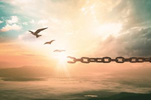 Freedom concept Silhouette of bird flying and broken chains at beautiful mountain sunset background