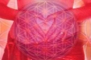 service Soin uterus service Soin uterus